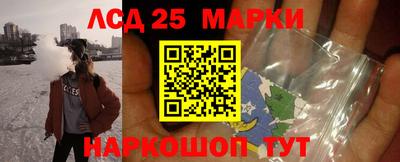 прущие грибы Будённовск