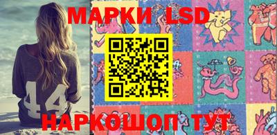 прущие грибы Будённовск