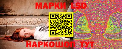 прущие грибы Будённовск