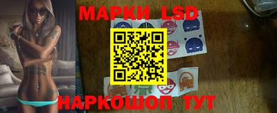 прущие грибы Будённовск