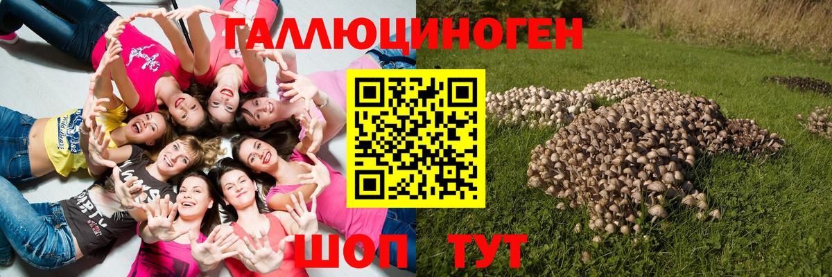 Галлюциногенные грибы прущие грибы Можга